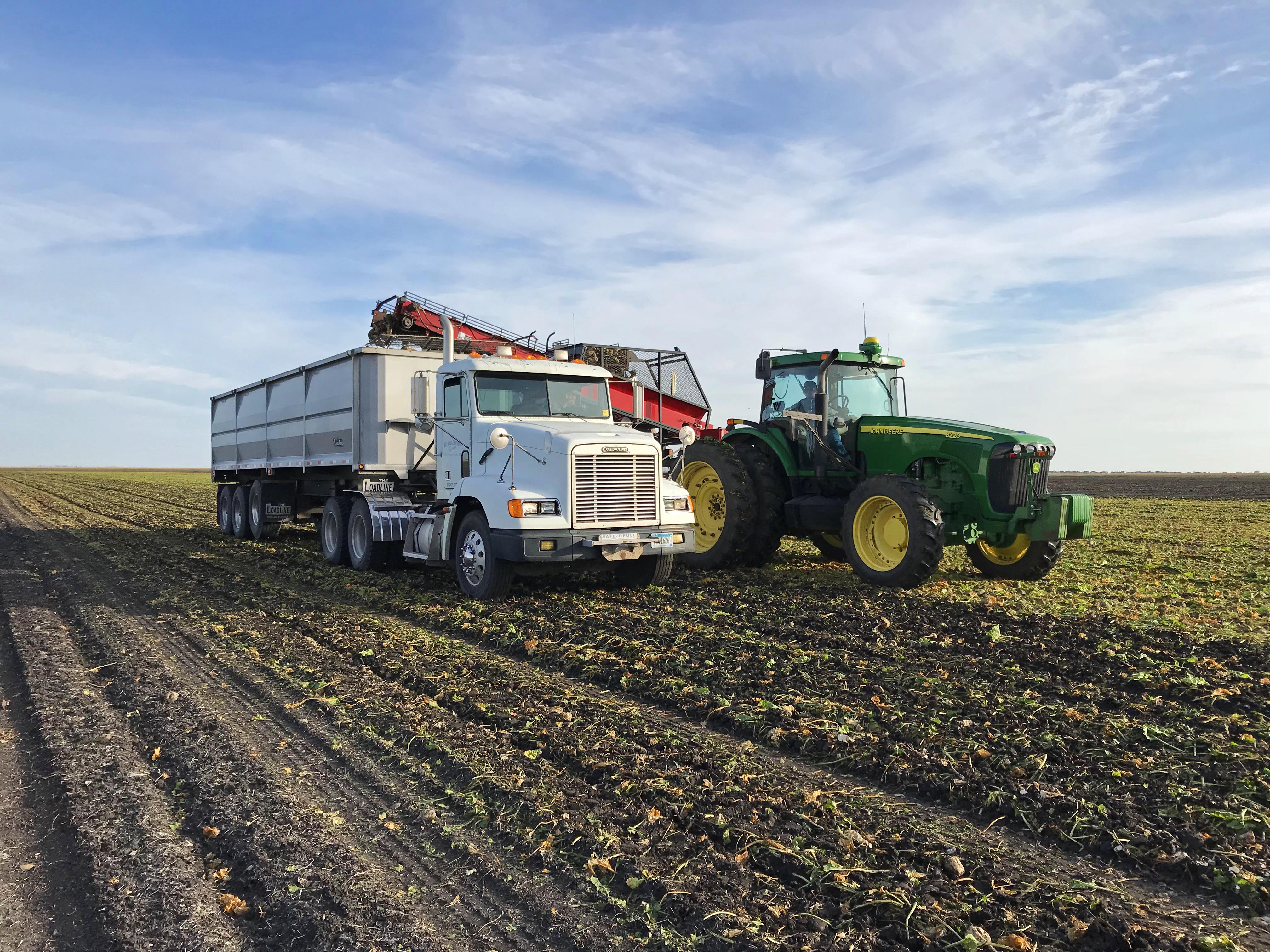 Grower strip trial harvest